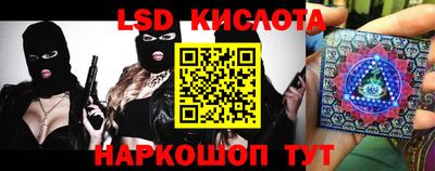 прущие грибы Кингисепп