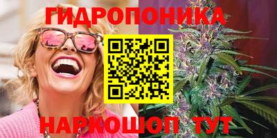 прущие грибы Кингисепп