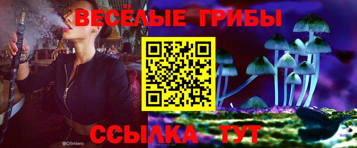 наркота  Вход с VPN  Черкесск  Галлюциногенные грибы MAGIC MUSHROOMS  Галлюциногенные грибы Psilocybine cubensis 